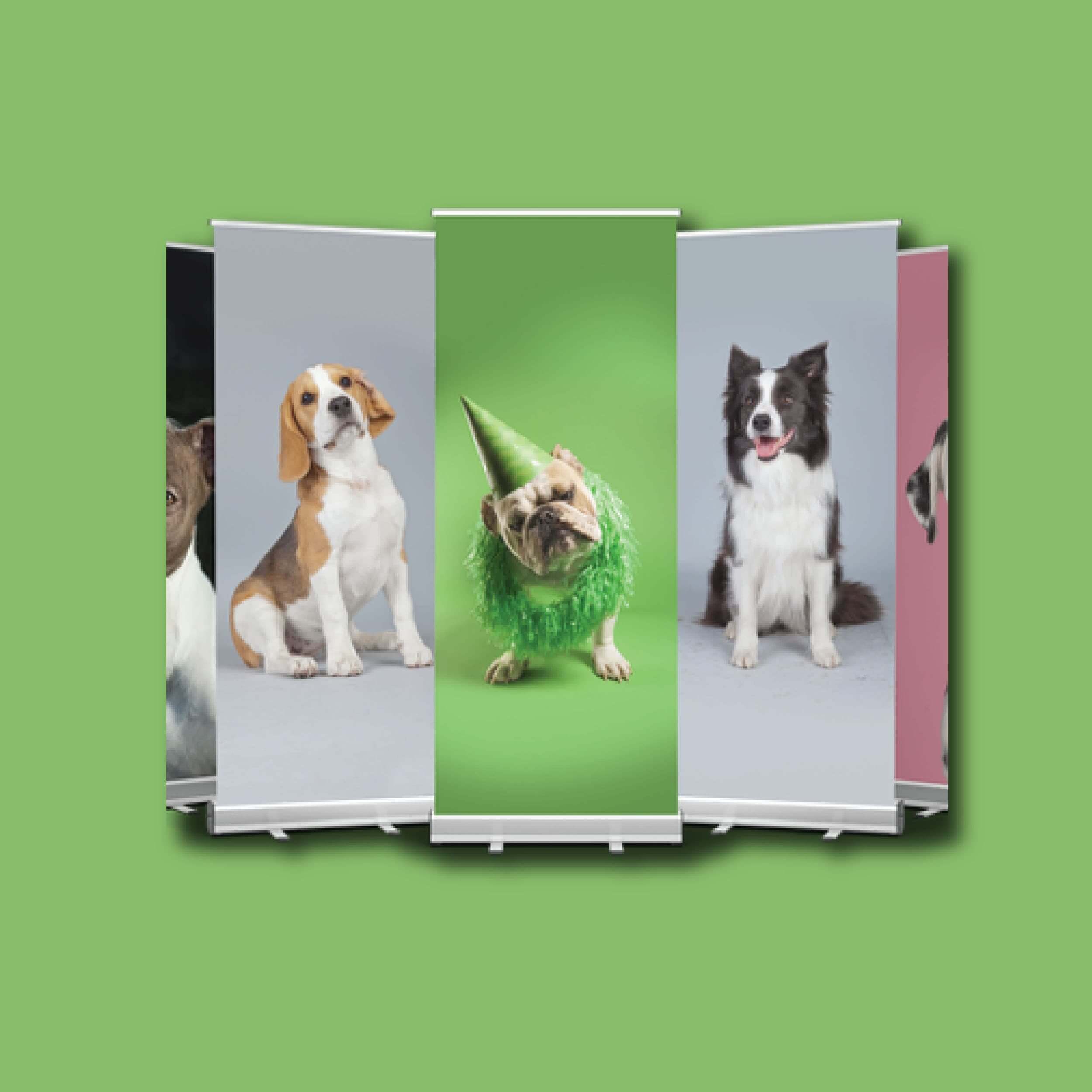 roller-banner-raja-printer